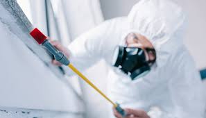 Best Residential Pest Control  in St Helens, OR